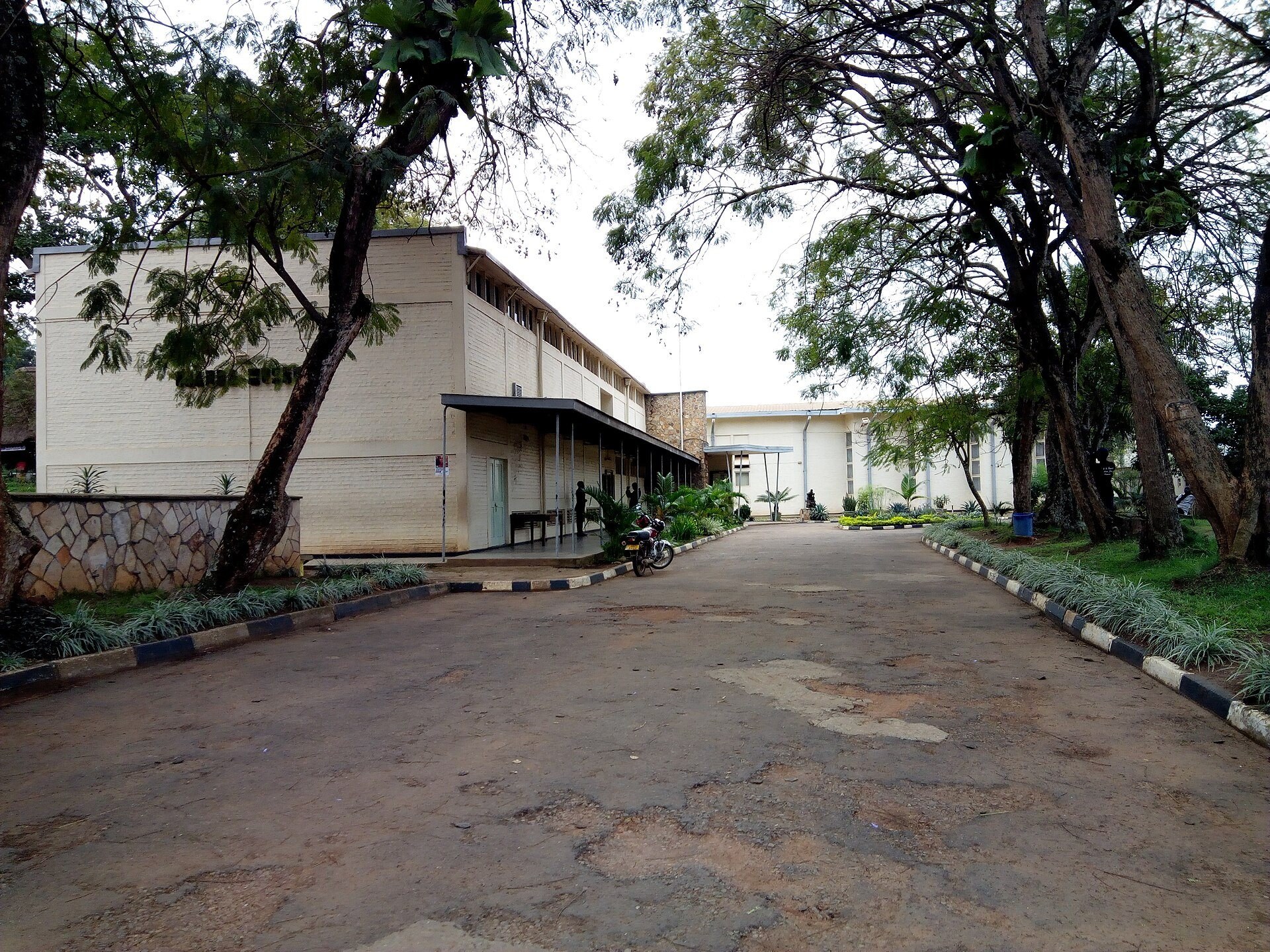 The low modernist buildings of the Uganda Museum along a tree lined drive
